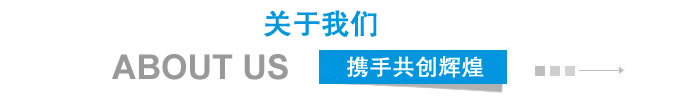 公司簡(jiǎn)介